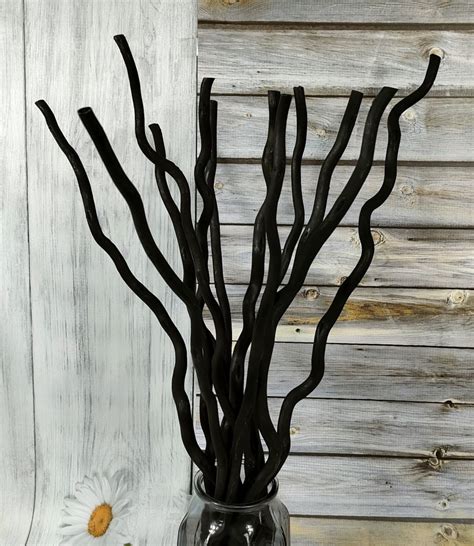 Curly Willow Branches Dried Curly Willow Branches 100 Natural Etsy