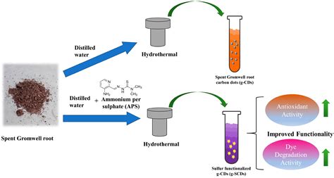 Foods Free Full Text Facile Synthesis Of Multifunctional Carbon Dots From Spent Gromwell