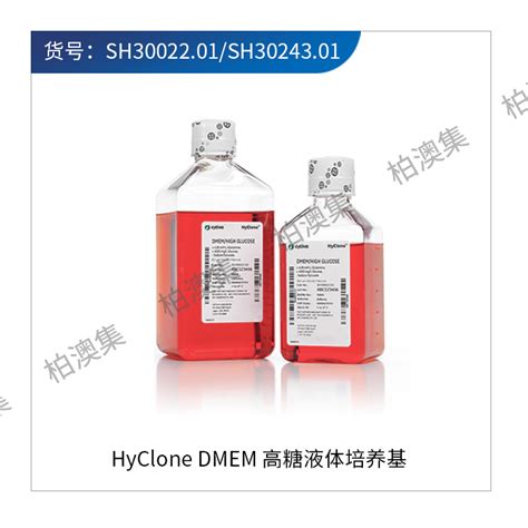 Dmem高糖培养基dmem With High Glucose With 4 0 Mm L Glutamine With Sodium Pyruvate