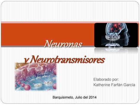 Neuronas Y Neurotransmisores Por Katherine Farfan Ppt