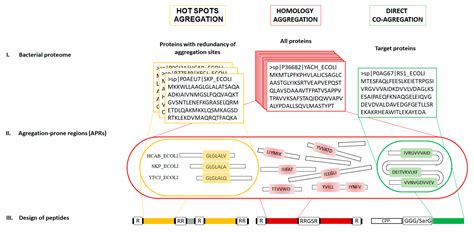 Ijms Free Full Text Amyloidogenic Peptides New Class Of