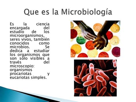 Microbiologia