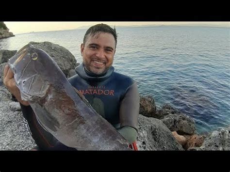 Pesca Sub MAESTOSA CERNIA BIANCA 23mt Spearfishing Arbalete Matador