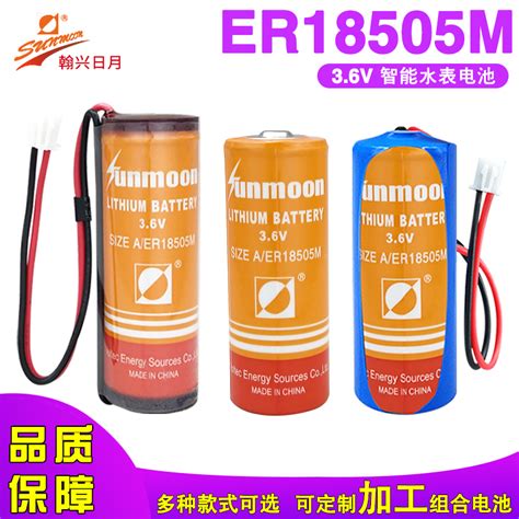 Lithium Battery V Size A Er M Ic