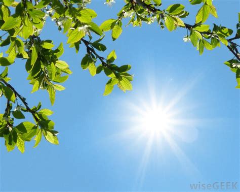 Victoria Weather & Climate: The Sunniest Month in Canadian History