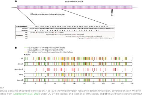 Table From Evolution Of Mycobacterium Tuberculosis Drug Resistance In