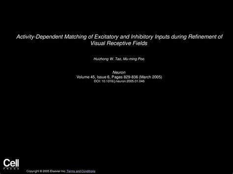 Activity Dependent Matching Of Excitatory And Inhibitory Inputs During Refinement Of Visual