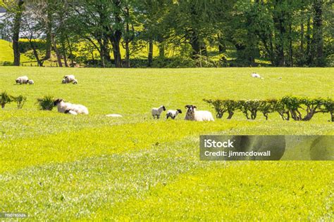 Beautiful Hillside Behind Largs In Scotlands West Coast Stock Photo