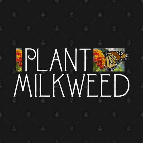 Plant Milkweed Save The Monarch Butterfly Save Monarchs T Shirt