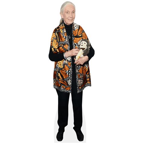 Jane Goodall Monkey Cardboard Cutout Celebrity Cutouts