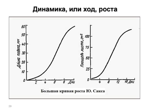 Этапы онтогенеза и факторы его регуляции. Морфогенез и рост растения ...
