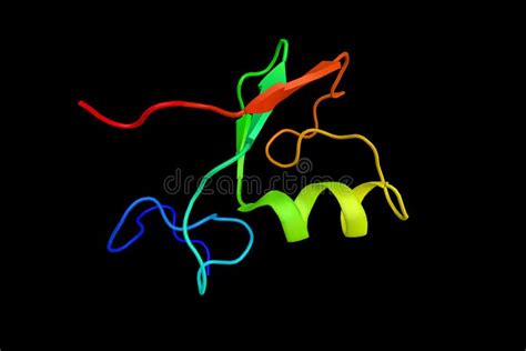 Ubiquitin Stock Illustrations 79 Ubiquitin Stock Illustrations Vectors And Clipart Dreamstime