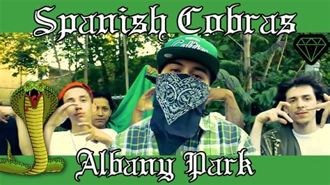 L A P Y N A Chicago Insane Spanish Cobras Albany Park North