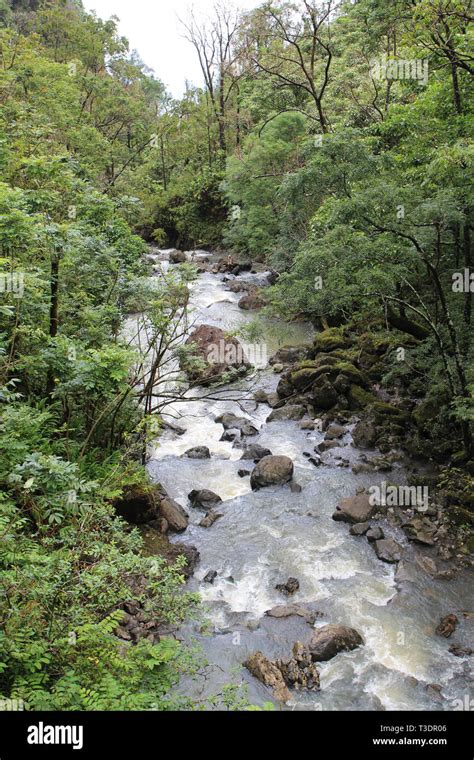 A Rushing Stream Over Rocks And Boulders In A Rainforest At Pua A Ka A