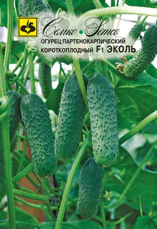 Огурец Эколь 10шт