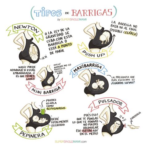 Evolución de la barriga en el embarazo mes a mes Disfruti