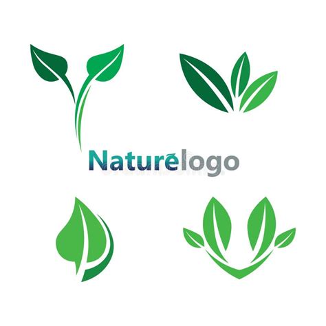 Leaf Logo Design Vector For Nature Symbol Template Editable Green Leaf