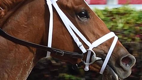 Spice Is Nice | America's Best Racing