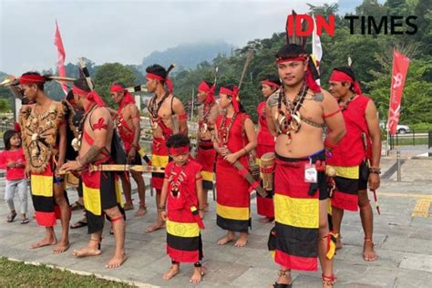 Momen Masyarakat Dayak Upacara Dengan Pakaian Adat Lengkap