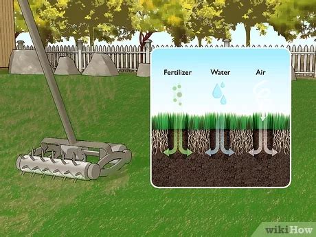 Comparing The Benefits Of Top Dressing Your Lawn With Compost Vs