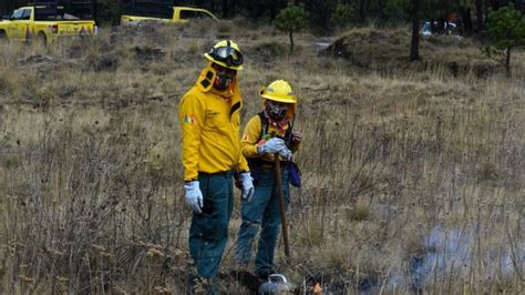 Prevén ochocientos noventa y seis incendios forestales en CDMX