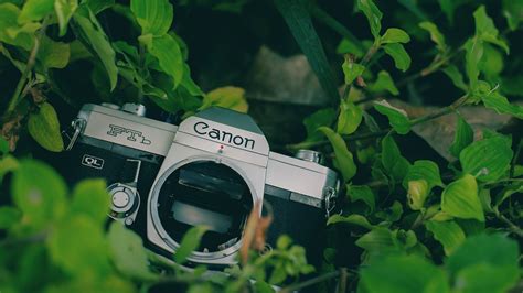 Canon auf neuem Kamera-Kurs - Zielfoto
