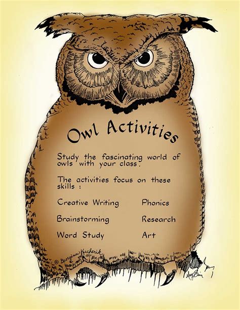 Owl Activities - Grades 2 to 4 - eBook - Lesson Plan - Rainbow Horizons