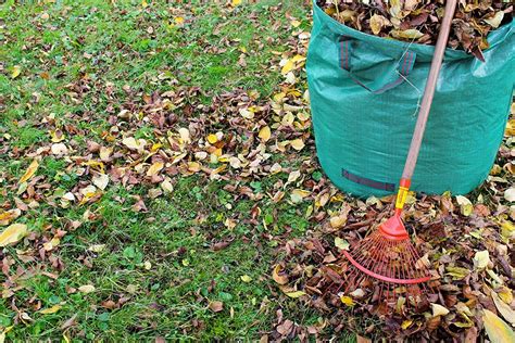 How To Compost Leaves To Benefit Next Years Garden The Money Pit