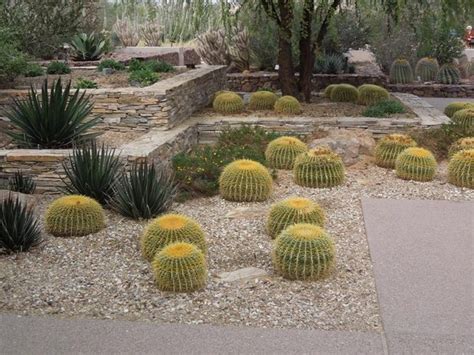 Desert landscaping ideas – basic rules to design a great backyard