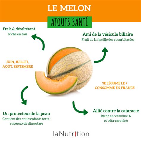 Tout Savoir Sur Le Melon Choisir Naturopathie