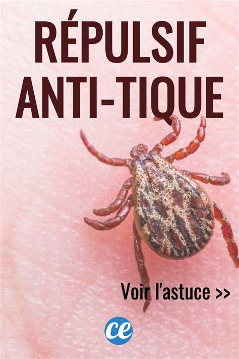 Enfin Un R Pulsif Naturel Contre Les Tiques Qui Marche Vraiment