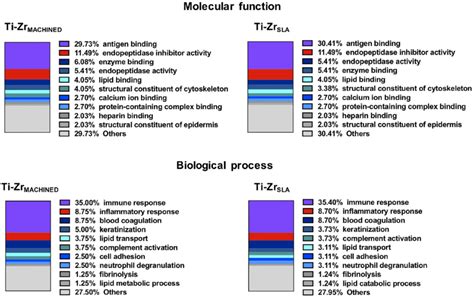 Characterization Of Proteomic Profile Based On A The Molecular