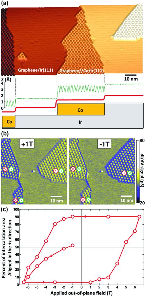 A Topography Of The Graphene Ir 111 Surface The Line Profile Download Scientific Diagram