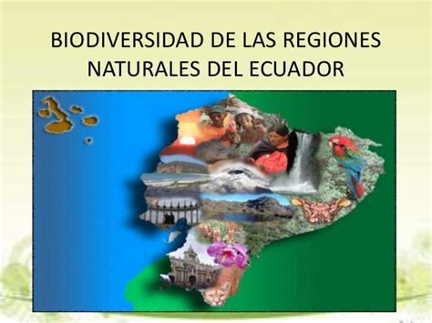 Biodiversidad De Las Regiones Naturales Del Ecuador