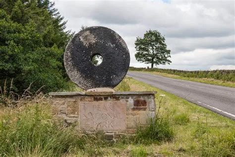 Peak District Wildlife Visitor's Guide - Nature Roamer