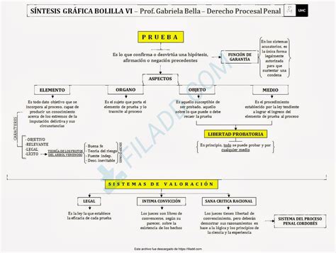 Images Del Aporte Procesal Penal Esquemas Derecho Procesal I Studocu