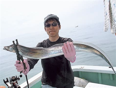 安倍川沖・船釣り タチウオ トップ30匹 悪条件の中、数伸ばす【魚影を追って】｜あなたの静岡新聞