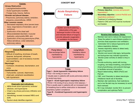 Acute Respiratory Failure Concept Map Pdf Lung Respiratory System