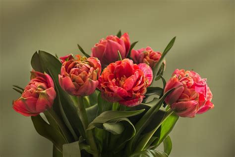 Film Bouquets 2022 Bouquets And Brickbats