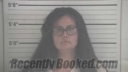 Recent Booking Mugshot For KRYSTAL ELIZABETH DOLLENS In Campbell