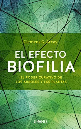 El Efecto Biofilia El Poder Curativo De Los Rboles Y Las Plantas