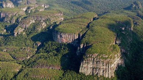 El Impresionante Parque Natural Sierra Del Chiribiquete Colombia