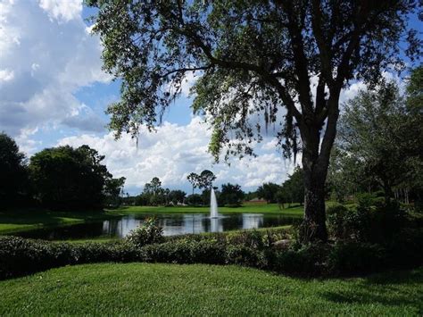 Lake Nona Golf and Country Club Homes For Sale | Best Deals!