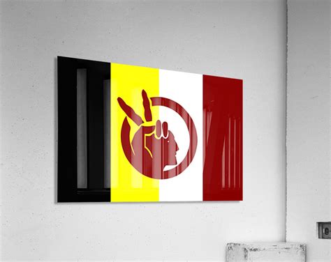 American Indian Movement Flag by Fun With Flags Wall Art