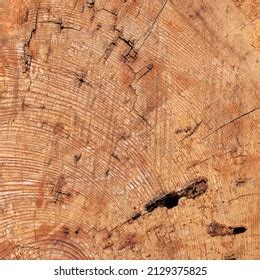 Old Cracked Wood Texture Background Stock Photo Shutterstock