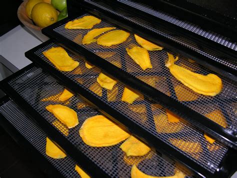 dried mango | Dehydrated fruit, Fruit dryer, Dried mangoes