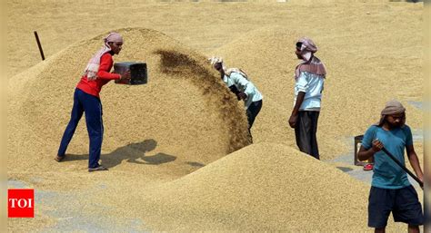 Govt Procures Lakh Tonnes Paddy In First Few Days Of Operation