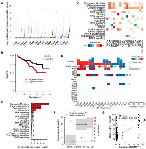 Cancers Free Full Text A Systematic Pan Cancer Analysis Of Genetic