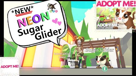 New Neon Sugar Glider 😍 Adopt Me Roblox ♥ Youtube