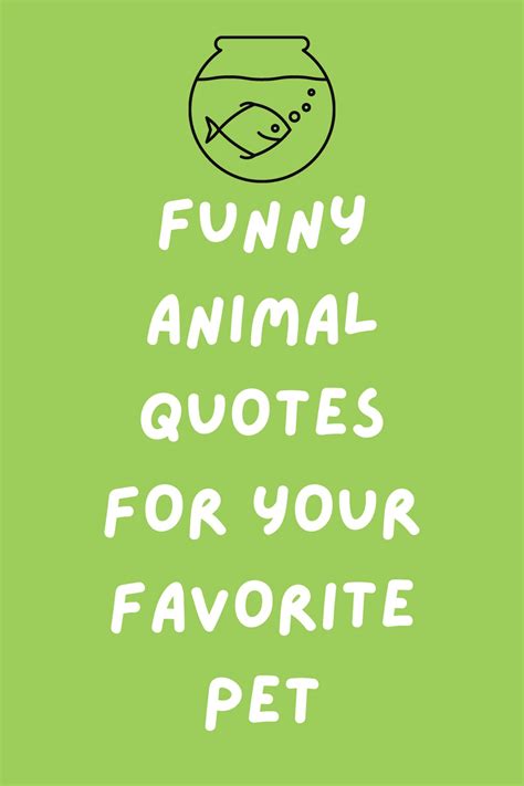 57 Hilariously Funny Animal Quotes for Your Favorite Pet - Darling Quote